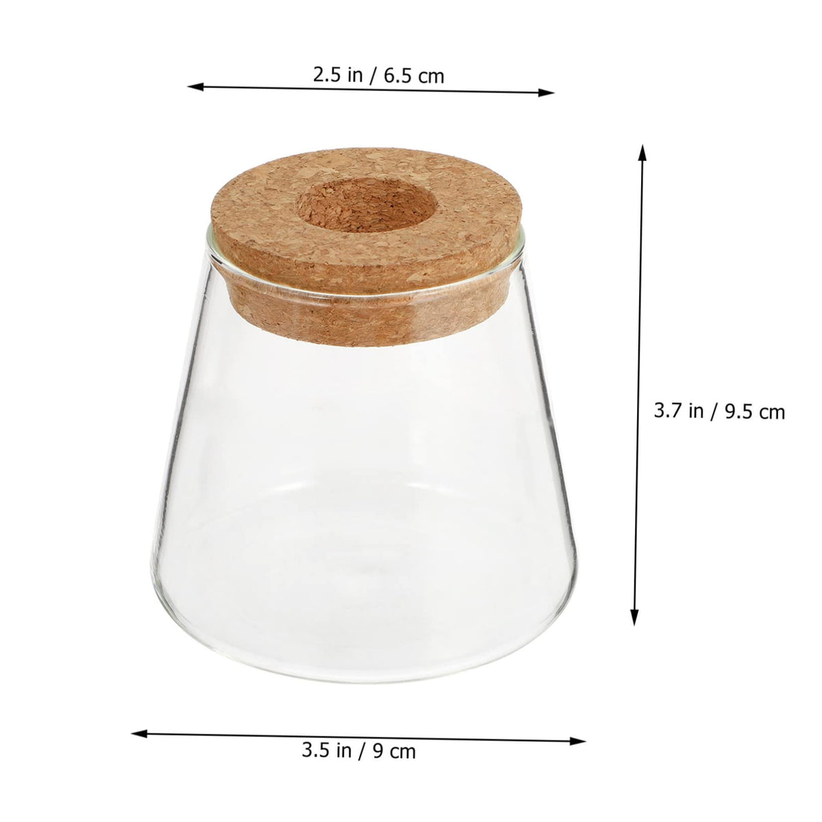 EPIGEIST 2Pcs Hydroponics Vase Planter Chic Desktop Glass Terrarium for Home Office Decor Plant Holder for Observation Growth Design