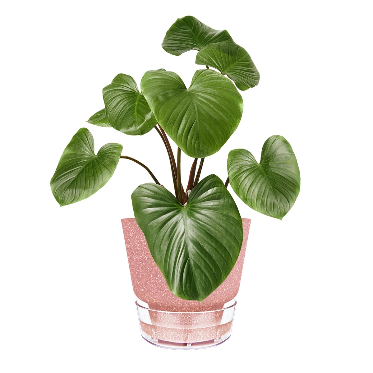 HYNZ Self Watering Pots for Indoor Plants, with Visible Reservoir, 6 inch Plant Pot with Wick Rope Planter Pot for Indoor Outdoor Plants (Frosted Brick Red)