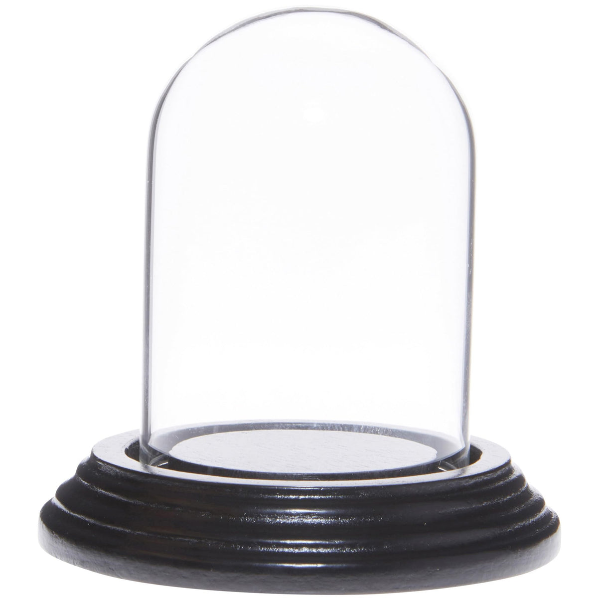Plymor 2" x 3" Mini Glass Display Dome Cloche (Black Wood Veneer Base)