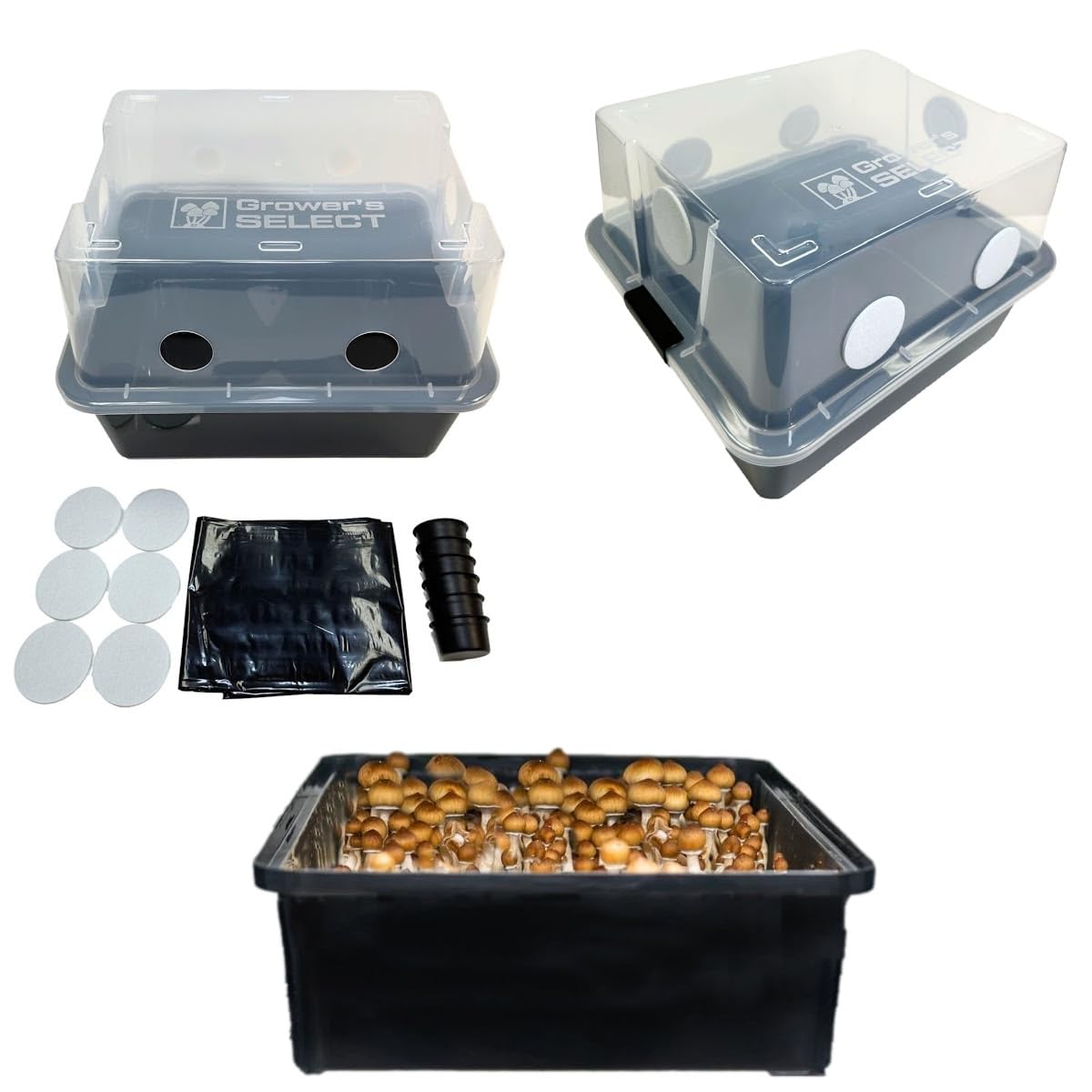 Myco Labs Grower's Select Mushroom Monotub Fruiting Chamber with Filter Disks and Liner