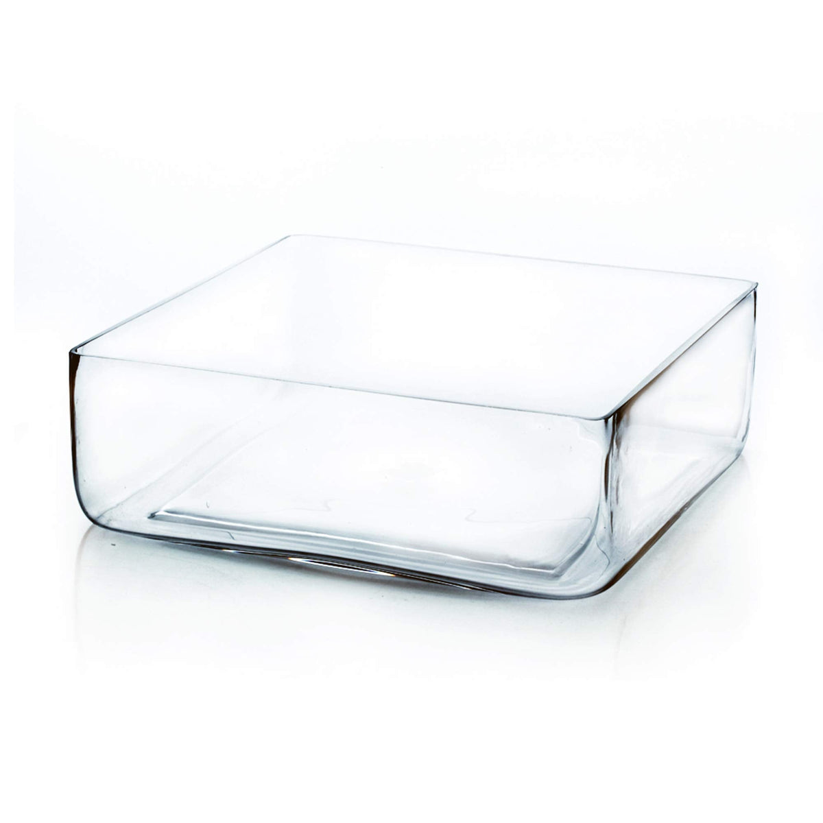 WGV Square Block Glass Vase, Length 12", Height 4", Clear Large Planter Terrarium, Floral Container for Wedding Party Event, Home Office Decor, 1 Piece