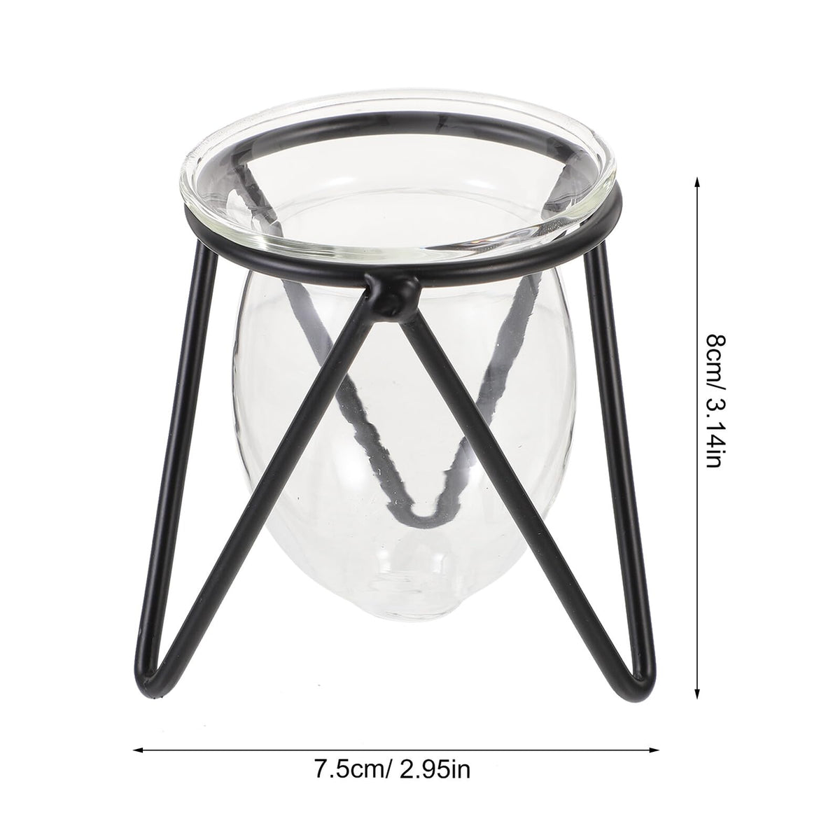 NUOBESTY 6pcs Small Iron Art Flower Stands with Hydroponic Glass Vases for Desktop Plant Decoration and Office Home Hydroponic Terrarium Display