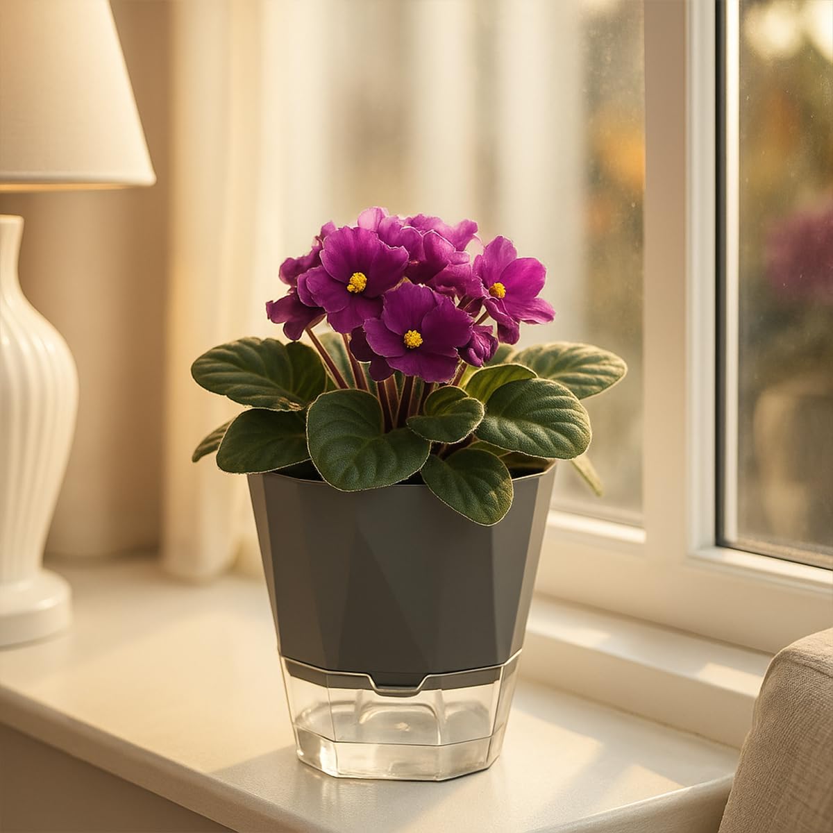 6 Pack Self Watering Pots for Indoor Plants, 5 Inches Self Watering Planters African Violet Self Watering Clear Pots for Plants Herb Orchid Flower Houseplant, Dark Grey