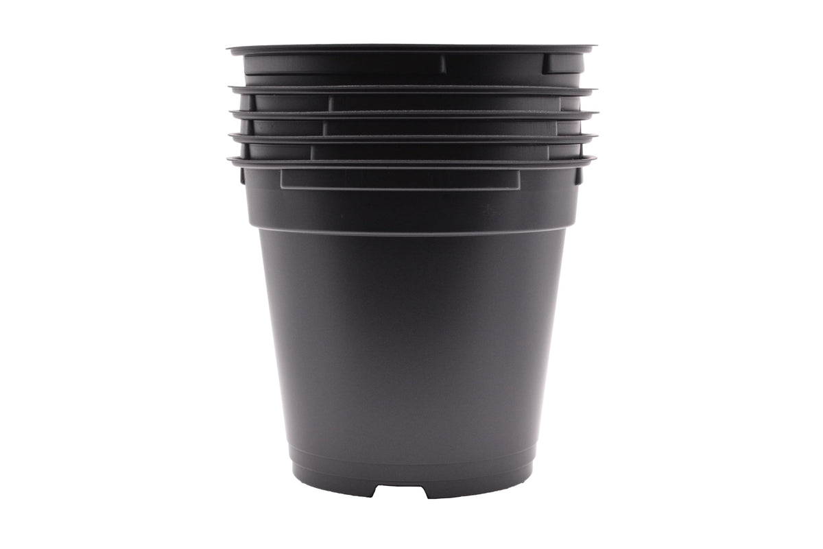 Daisy J&M 100ct Black Round 4.33" Pots with Holes