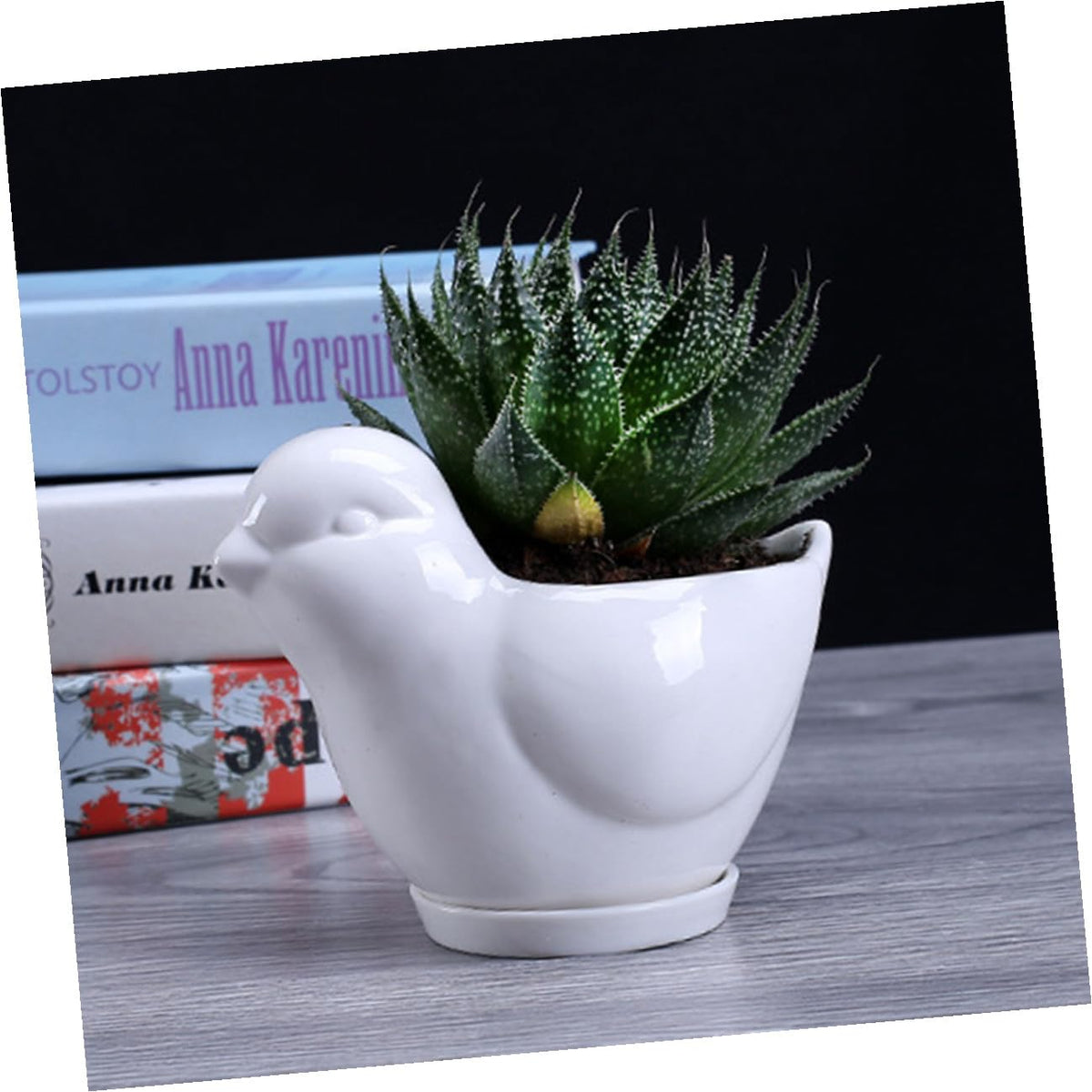 LALAFINA Ceramic Succulent Plant Container Bird Shape Large White Flower Pot with Saucer Indoor Desktop Planter for Home Garden Decor