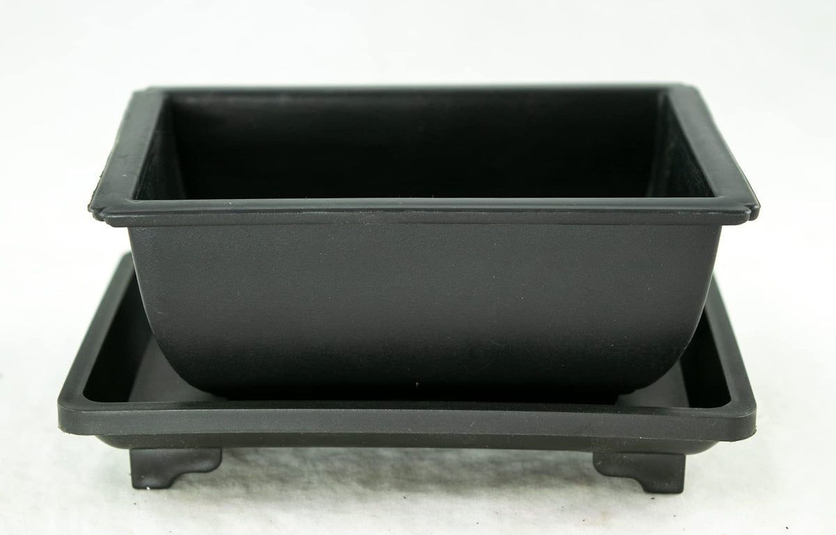 8 Sets Rectangular Plastic Shohin Bonsai Training Pot, Cactus & Succulent Planter + Tray 5 inches x 3.5 inches x 2 inches , Black