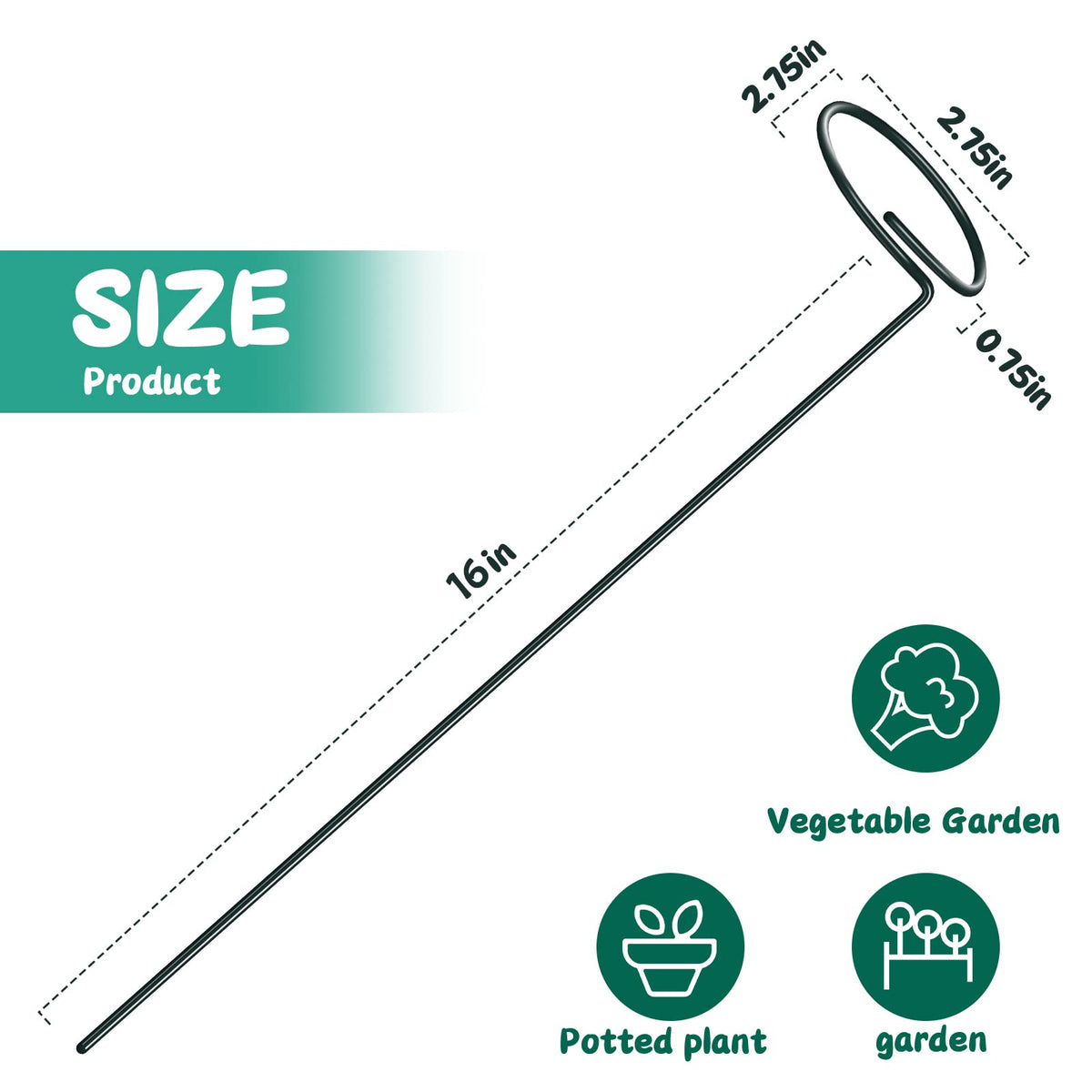 XYCING Green Metal Plant Support Stakes with Rings (Pack of 8) and 10 Plant Clips - Garden Single Stem Support Rod Set for Amaryllis, Rose, Tomato Seedling, Sapling