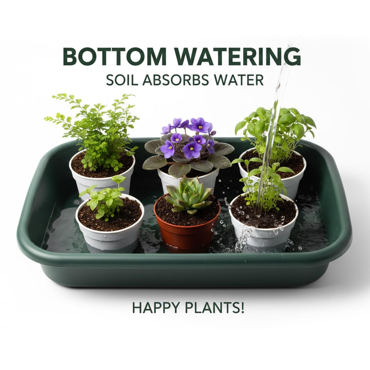 RooTrimmer 2Pcs of Potting Trays and 50 Pack 3inch Small nursey pots Set for Seedling, transplanting