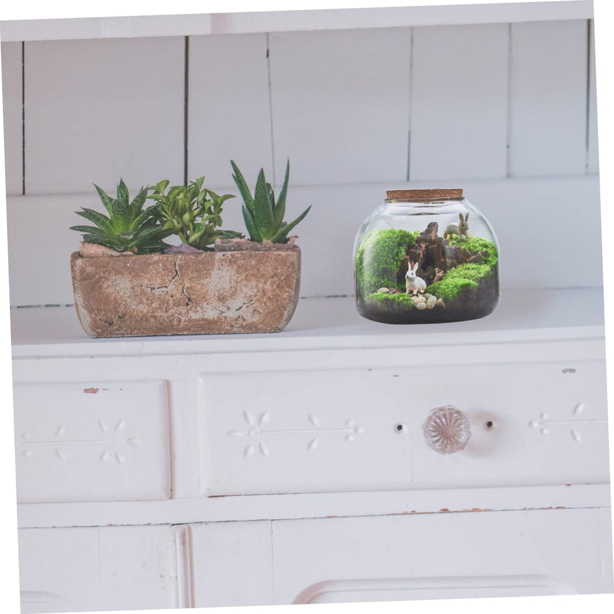 HYTROVE Micro Landscape Bottle Terrarium for Plants Creative DIY Desk Decor Simple Glass Ecological Bottle Lid for Indoor Gardening and Home Decoration