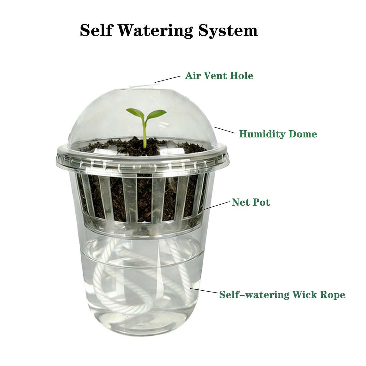 Niiiice 24 Pack 4 inch 360 ML Clear Self Watering Plant Pots, Transparent Plant Germination Nursery Pot, Seed Starting Container for Indoor Outdoor Planting Seedling