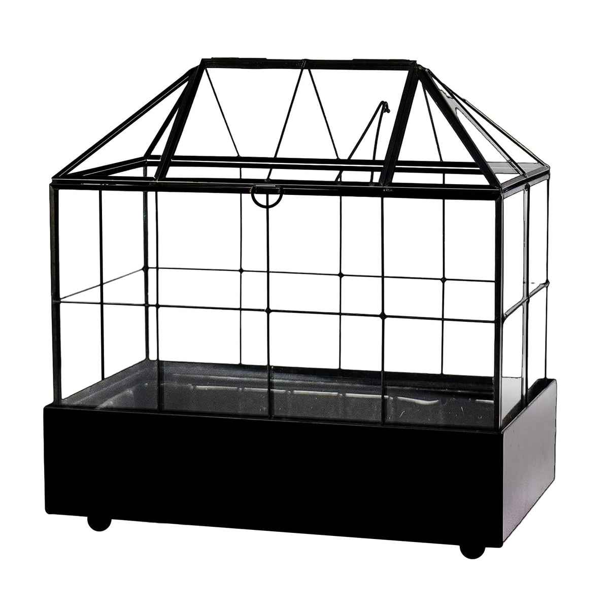 YIMORENCE V Large Tall Plant Terrarium Glass Greenhouse with Lid and Tray, Indoor Tabletop Orchid Succulent Cacti Kit 9.5'X9.8'X5.6'