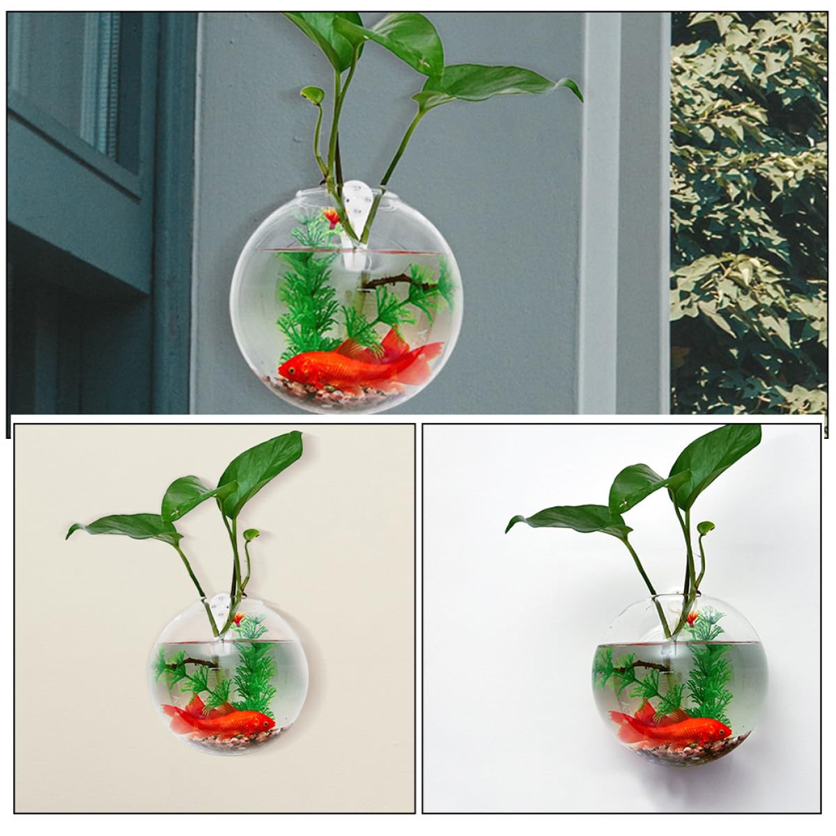 OKUMEYR Wall Mounted Hydroponic Glass Vase Set 4pcs, 10cm Glass Plant Terrarium with Removable Crystal Mud for Home Decoration and Succulent Propagation