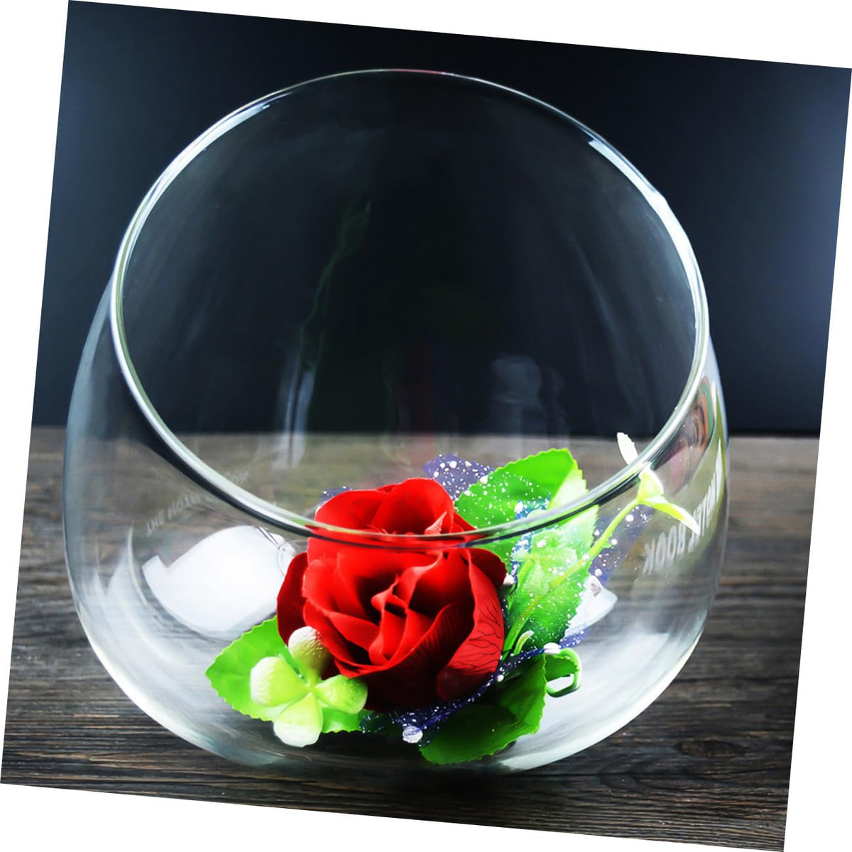 INOOMP 3pcs Slant Cut Glass Bottle Ecological Terrarium Vases Tabletop Micro Landscape Succulent Plant Holder for Home Décor