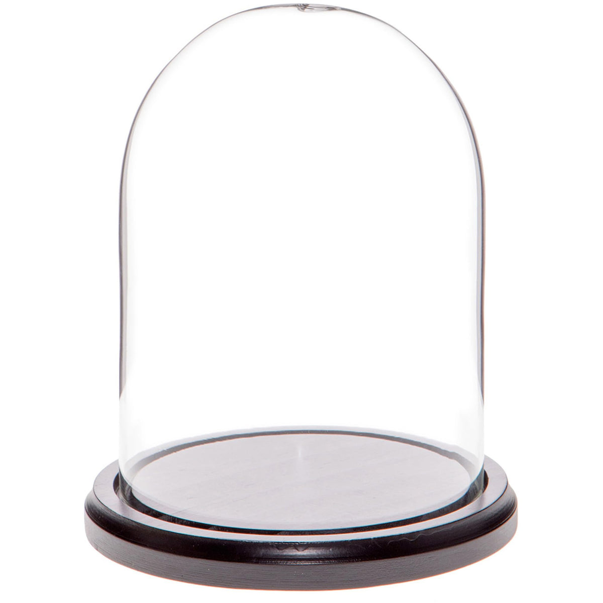 Plymor 4.5" x 6" Glass Display Dome Cloche (Black MDF Wood Base)