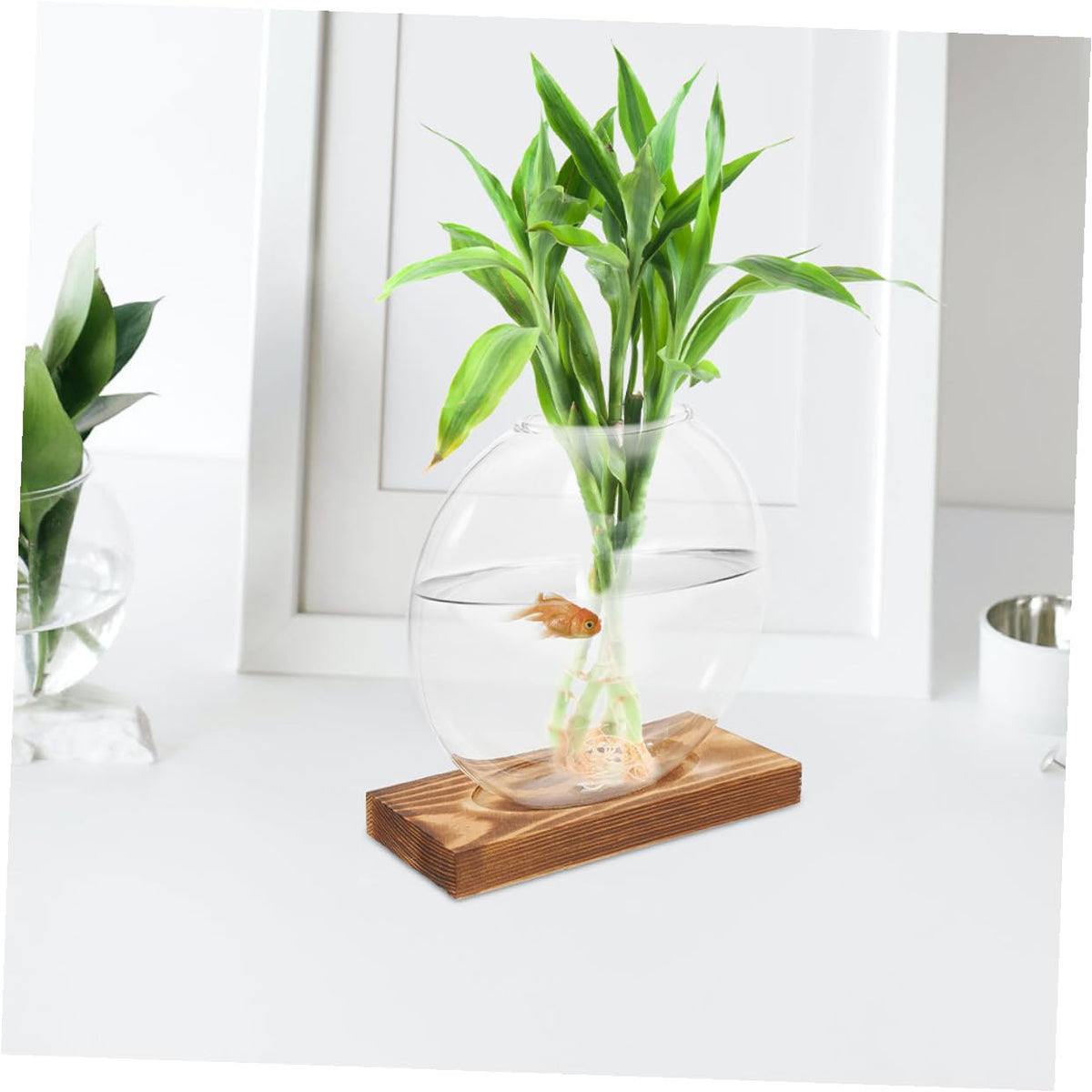 BESPORTBLE 2pcs Glass Vases with Wooden Stand, Hydroponic Propagation Station for Indoor Plants, Decorative Terrarium Pot for Home and Office Gardening