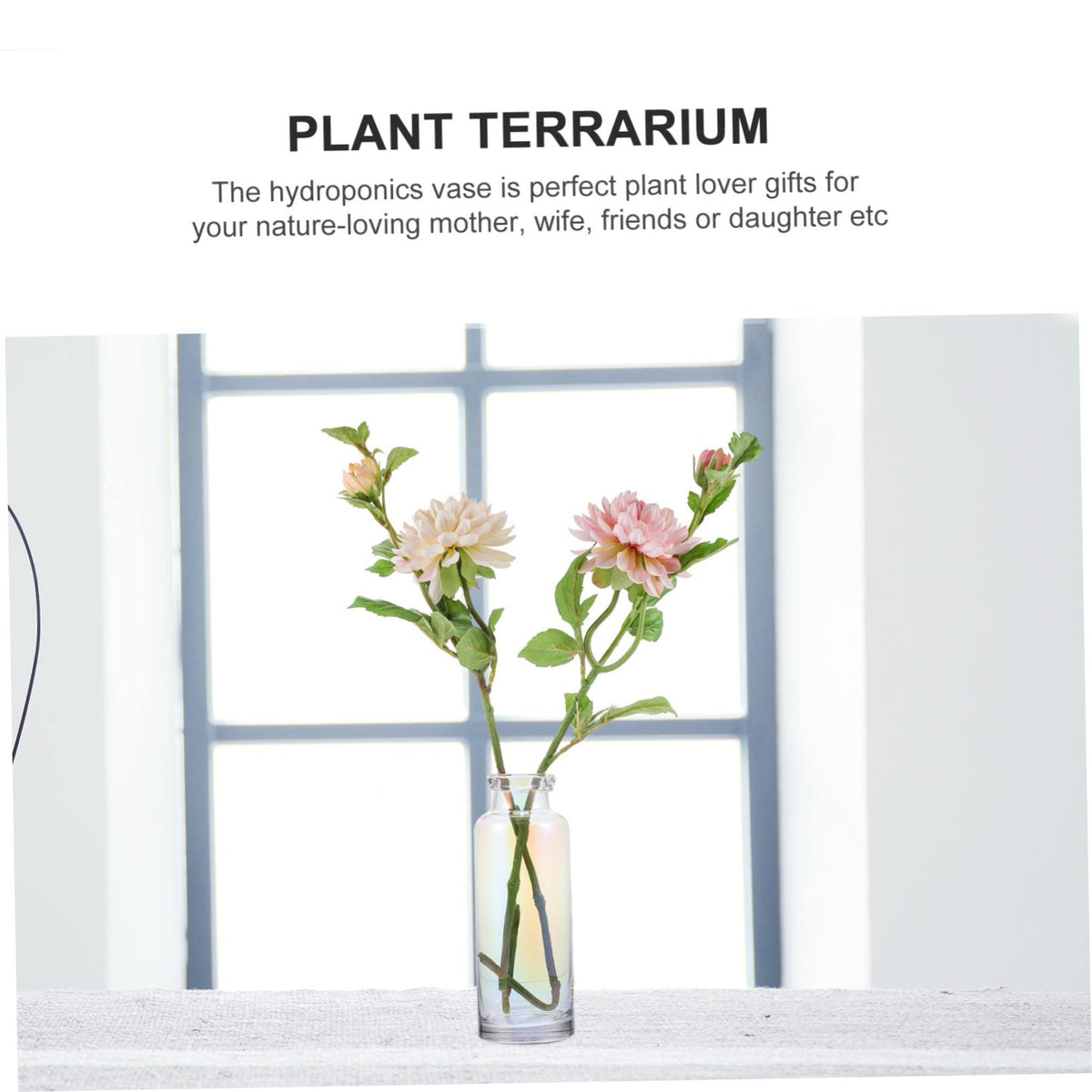 Alipis Glass Hydroponic Vase for Desktop Home Decoration Plant Terrarium Planter for Office and Events Modern Design for Hydroponics and Floral Arrangements