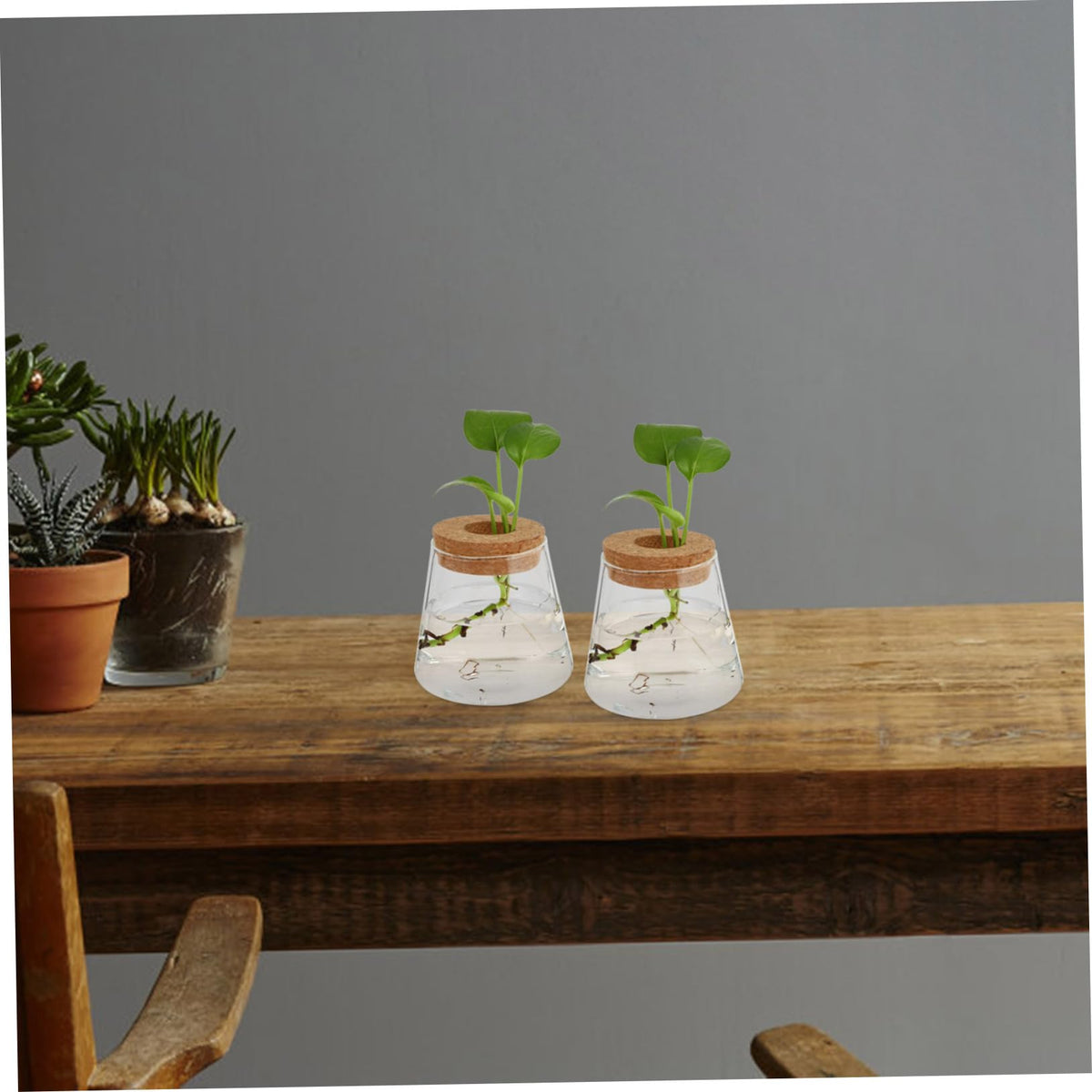 VALICLUD 2Pcs Glass Hydroponic Planter Vases Elegant Desktop Terrarium for Home Decoration Floral Arrangements for Indoor Plants and