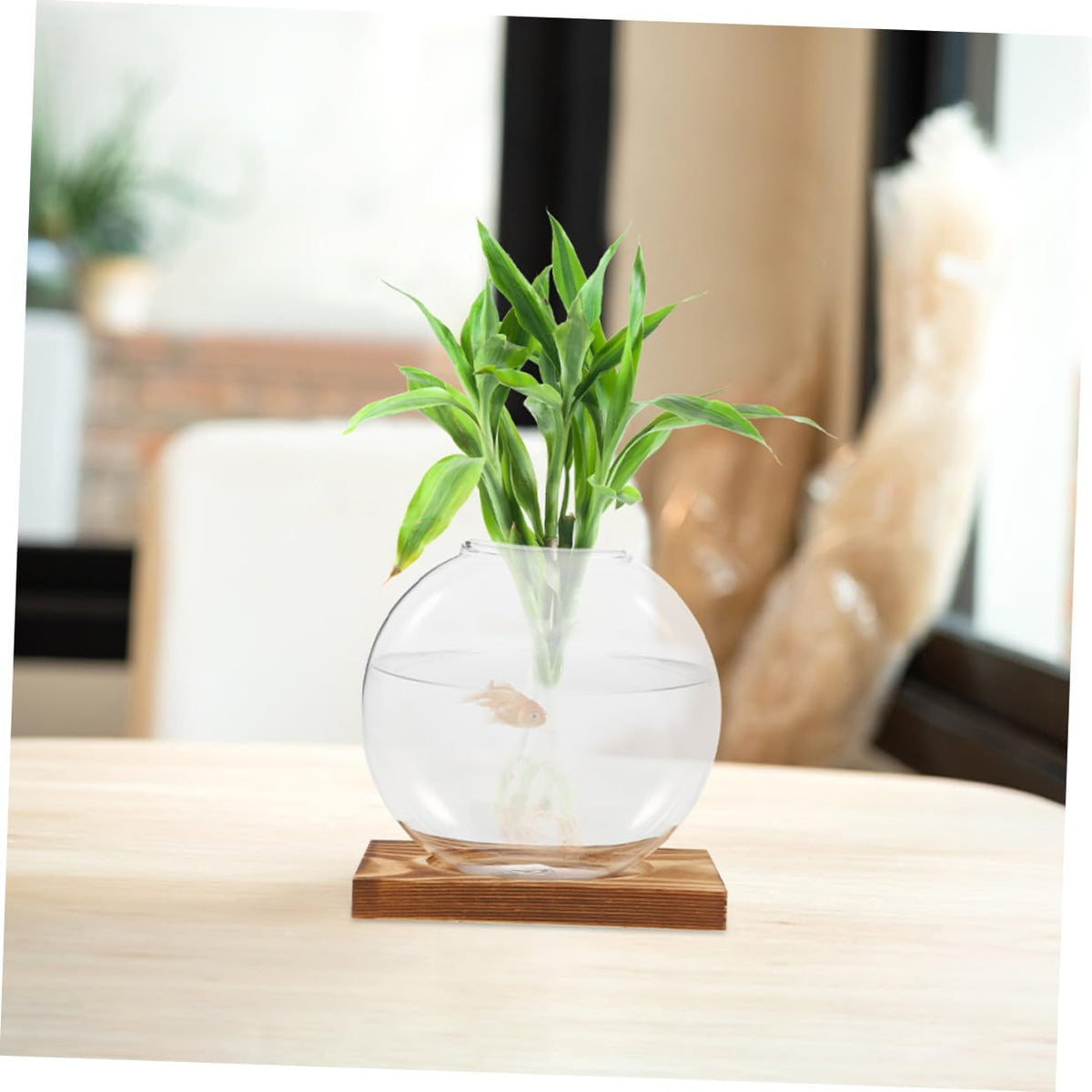 Abaodam 2pcs Hydroponic Glass Vase Propagation Station with Wooden Base, Plant Terrarium for Home Office Balcony, Desktop Glass Pots for Plant Cuttings