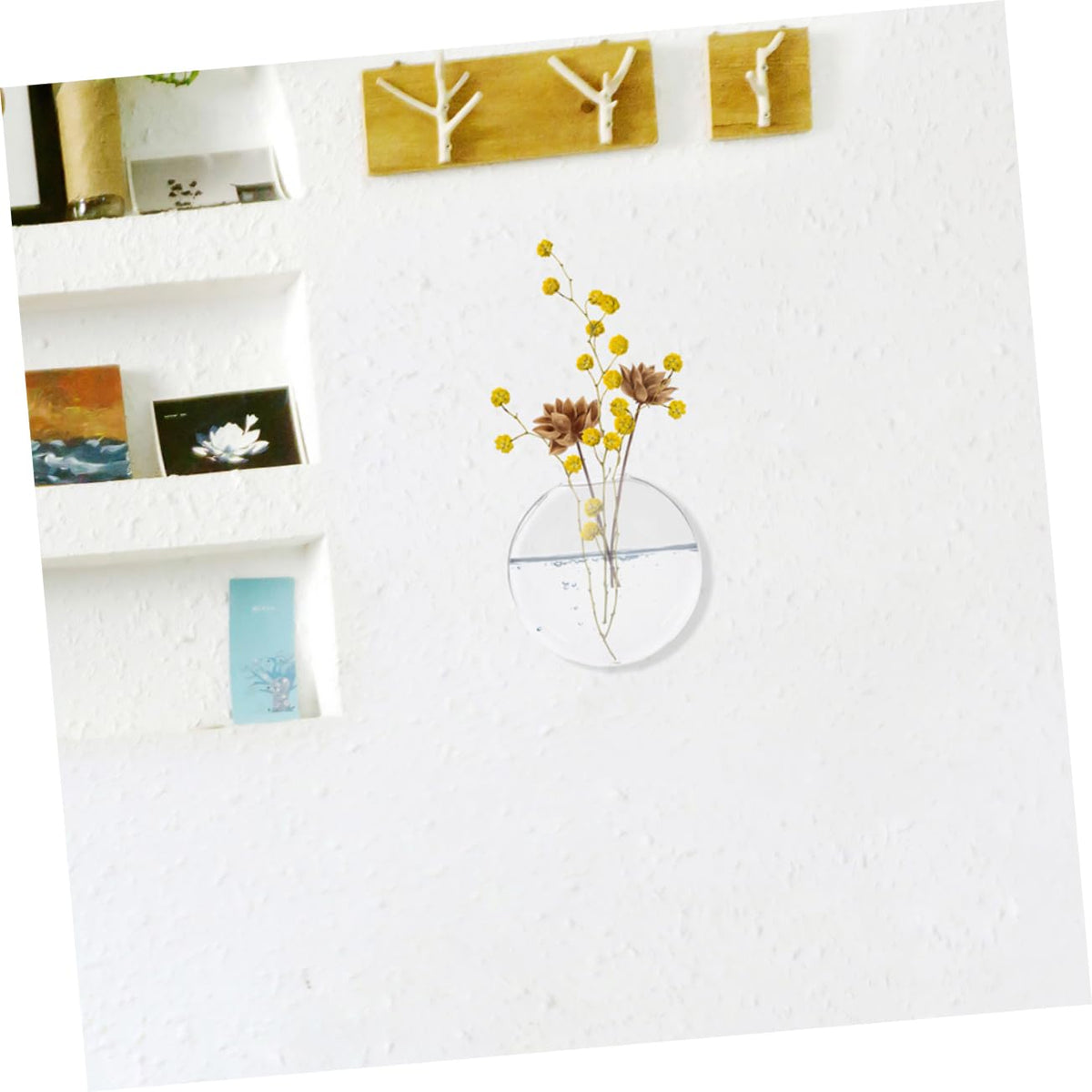 Alipis 6pcs Stylish Wall Hanging Hydroponic Vase Glass Terrarium for Indoor Plant Decor