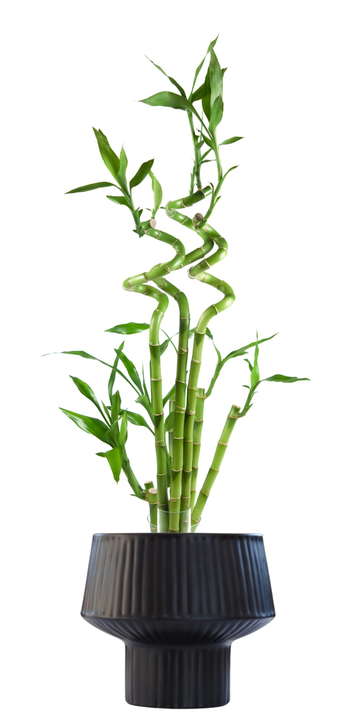Wide Top Modern Handmade Metal Indoor Planter with Unique Shape, Vertical Grooved Design and Anti-Scratch Pads, Rust-Resistant Finish that is Sustainable Non-Plastic Pot Recyclable Metal Vase (Black)