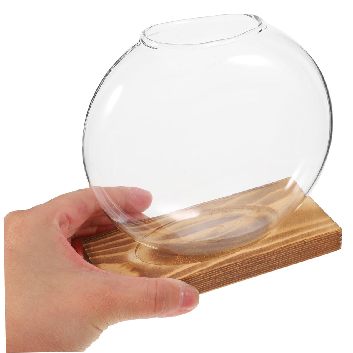ANDRESLAD Hydroponic Vase with Wooden Base Transparent Glass Plant Propagation Station for Indoor Plants Terrarium Small Desktop Planter Root Observation Decorative Home Decor