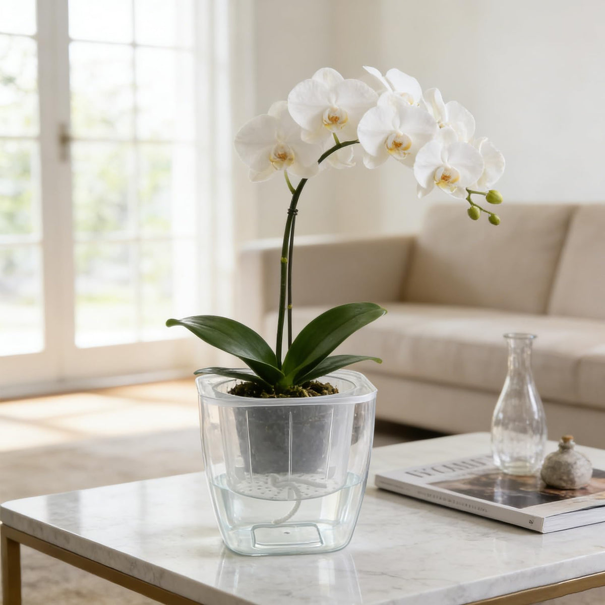 6-Pack 7 Inches Clear Self Watering Planters for Indoor Plants Large African Violet Plant Pots Plastic Wick Flower Pots with Water Injection Hole, Orchid Plant Pot Set, Clear