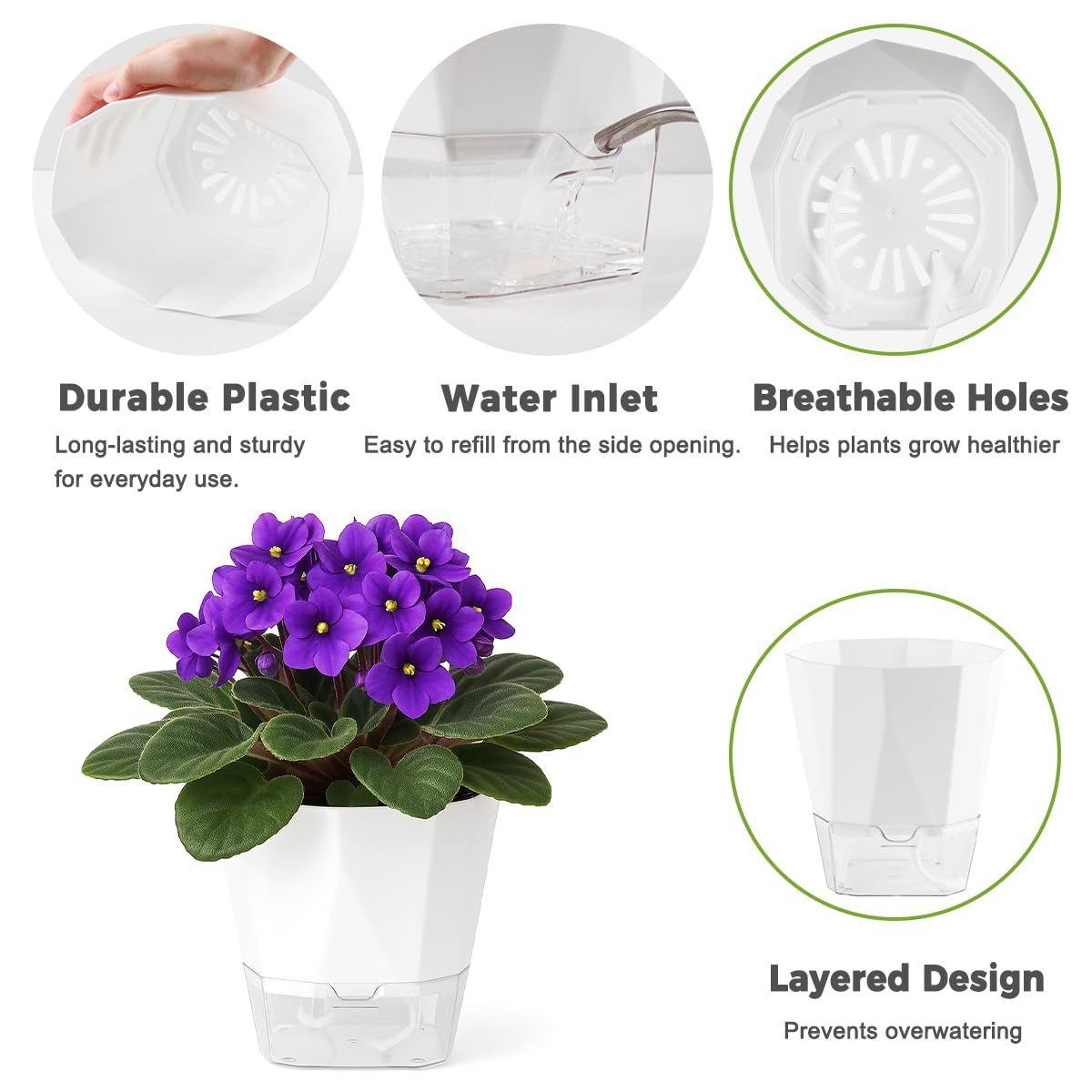 6 Pack Self Watering Plant Pots 6 Inches Self-Watering Planters for Indoor and Outdoor Plants African Violet Succulent Pots Clear Pot for Plants Large Herb Orchid Flower Houseplant Plant, White
