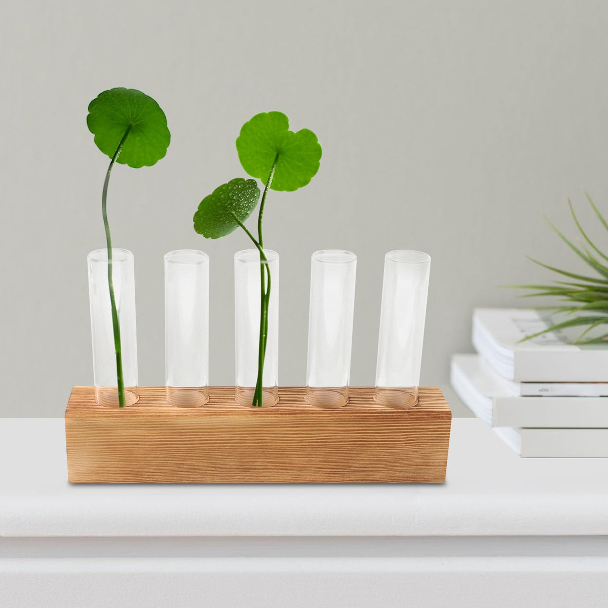 HEANUJJ Glass Planter Terrarium with 5-Hole Wooden Stand Hydroponic Vase for Indoor Plants Desktop Propagation Station Tabletop Water Planter