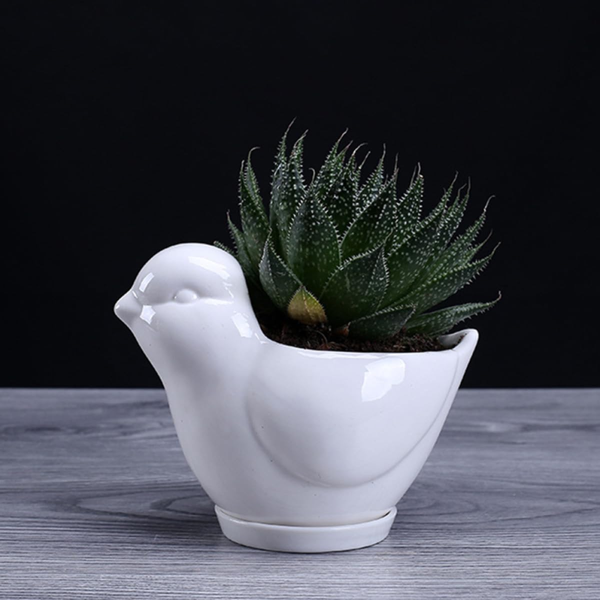 FOMIYES Ceramic Succulent Plant Container Bird Shape Small White Flower Pot Saucer Indoor Desktop Planter for Home Gardening