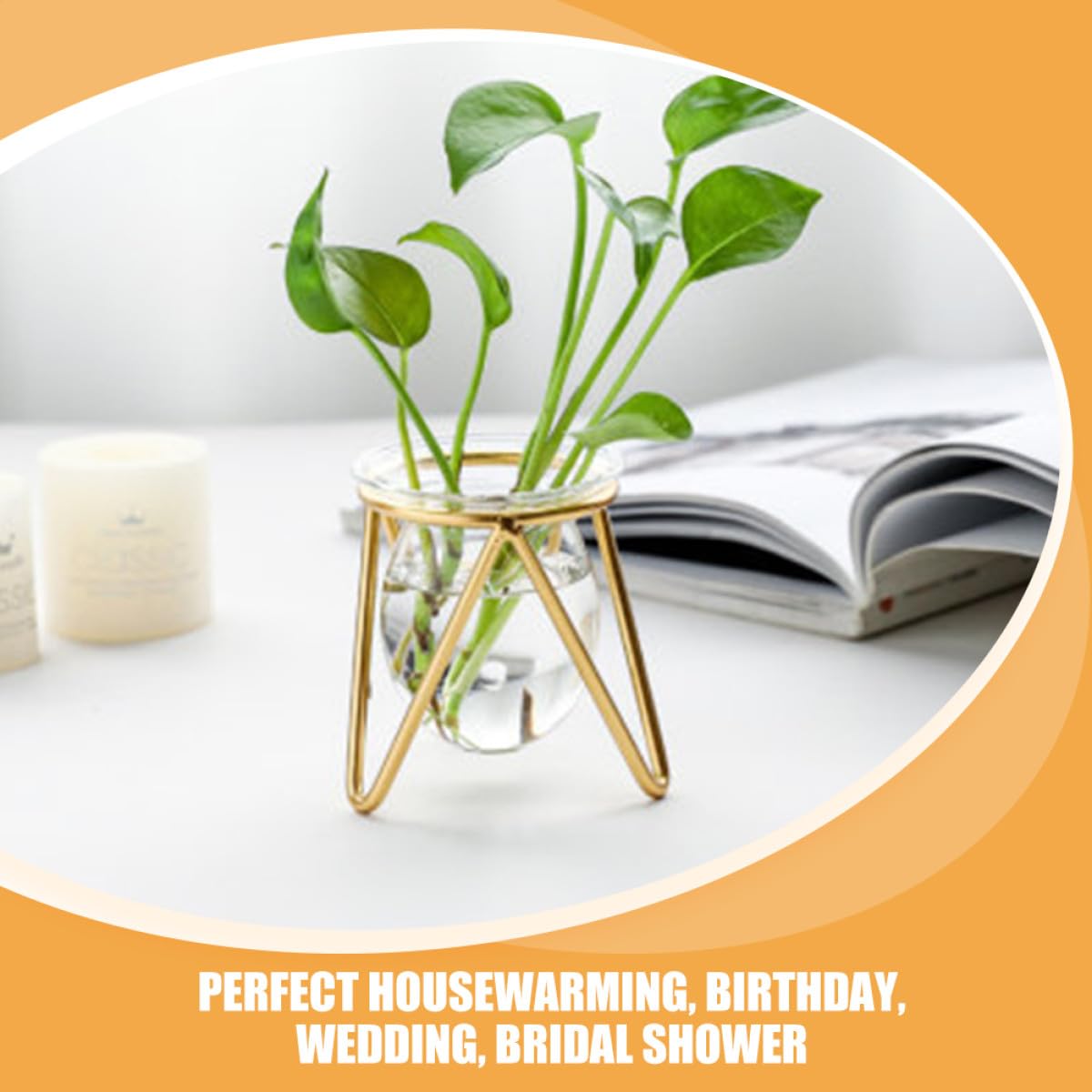 HOMSFOU Glass Vase with Metal Stand, Succulent Propagation Terrarium Planter Bulb, Desktop Air Plant Container for Indoor Water Plants and Greenery Décor