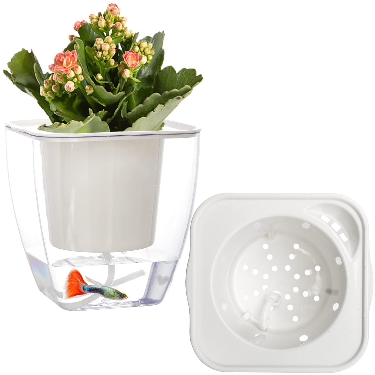 Lyellfe 6 Pack Plastic Self Watering Pots, 4 Inch Clear African Violet Pots for Indoor Plants, Automatic-Watering Planter with Drainage, Wick Rope, Windowsill Gardens, Herb, Orchid