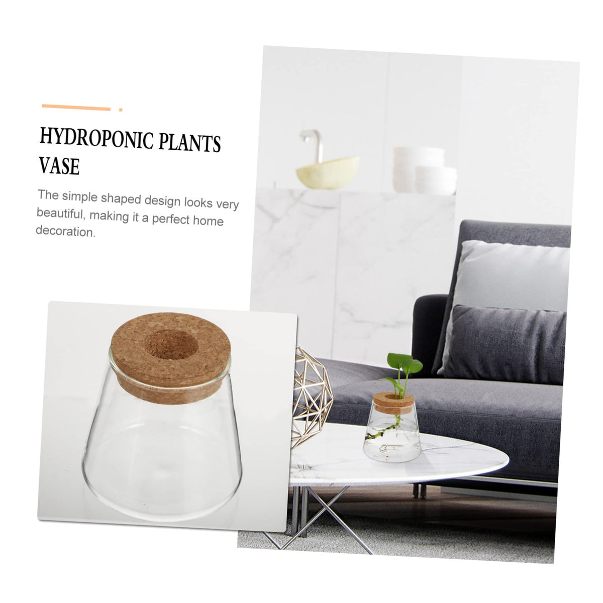 VALICLUD 2Pcs Glass Hydroponic Planter Vases Elegant Desktop Terrarium for Home Decoration Floral Arrangements for Indoor Plants and