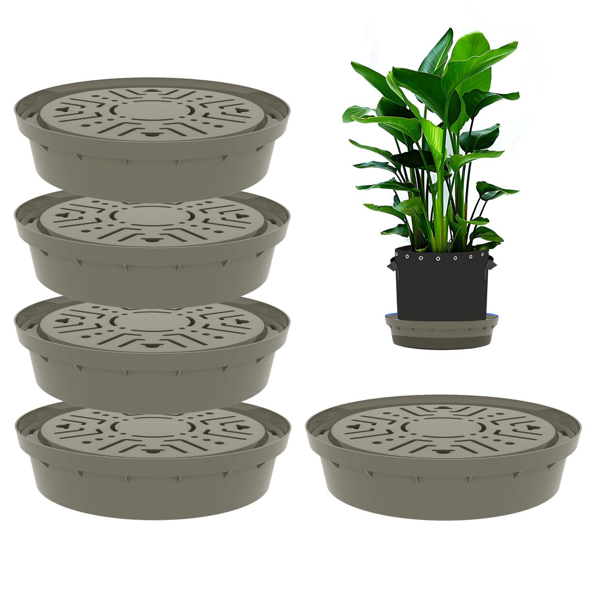 Molgoc Self-Watering Base with Visible Water Level,5-Pack,Keeps Leaves and Flying Insects Out,Maintains Water Quality, Brown.(Without Wheels).