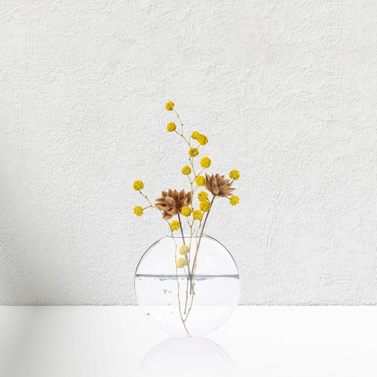 BESPORTBLE 2pcs Wall Mounted Glass Hydroponic Flower Vases, Flat Glass Terrarium Containers for Indoor Plant Propagation and Wall Décor