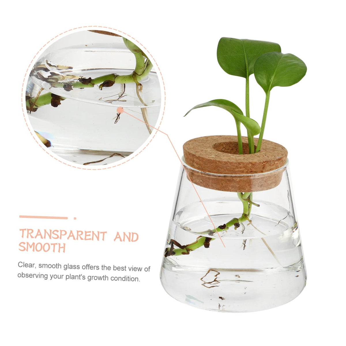 Zerodeko 2Pcs Hydroponic Plant Glass Vases Desktop Terrarium Clear Propagation Containers for Indoor Plants Home Decoration Garden Lovers