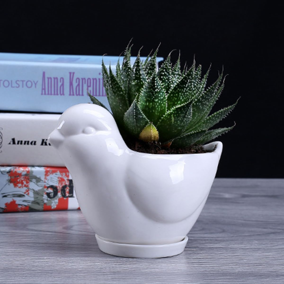HANABASS Ceramic Succulent Plant Pot Bird Shape White Small Flower Pot Saucer Indoor Desktop Planter for Home Garden Decor