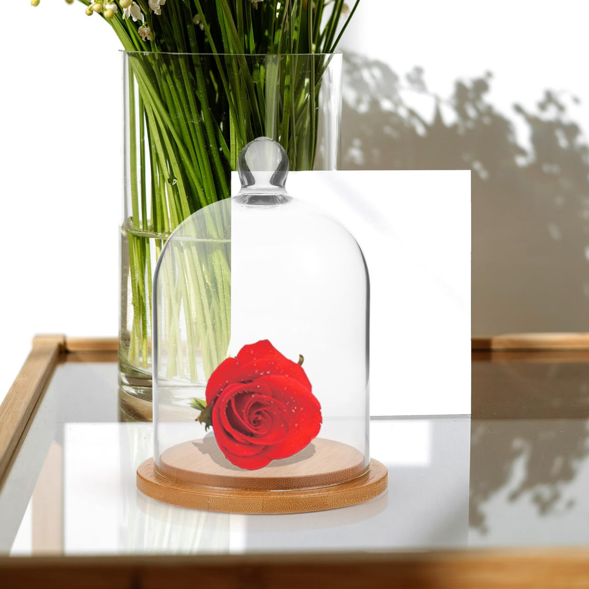 DEARMAMY Clear Glass Dome Cloche with Base Bell Jar Display Dome Office Home Decoration for Plants Succulents Fairy Lights Photos Medals Decorative Fill Collectibles