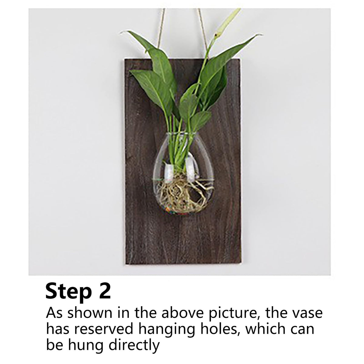 Marooma 2 Pcs Wall Hanging Glass Vases, Solid Wood Wall Mounted Glass Vase, Clear Terrarium Display Vase for Hydroponic Flowers Plants, Home Office Garden Decor (A)
