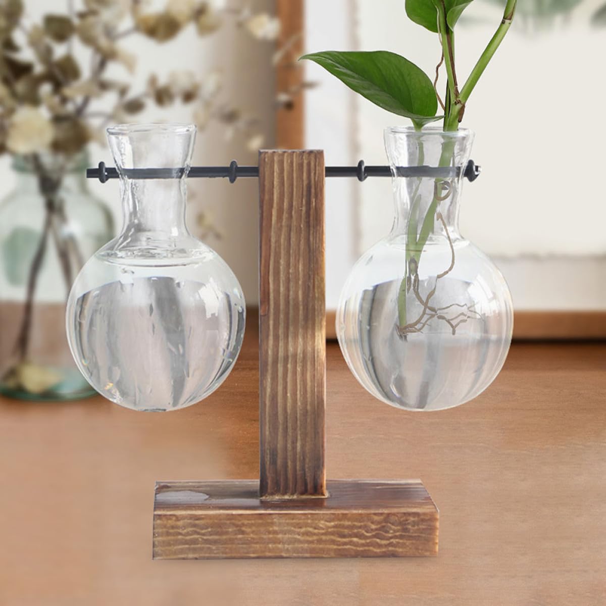 Gatuida 3Pcs Glass Propagation Planter with Wooden Stand, High Borosilicate Glass Vase for Hydroponic Plants, Desktop Terrarium Flower Vase with Hole for Home Décor