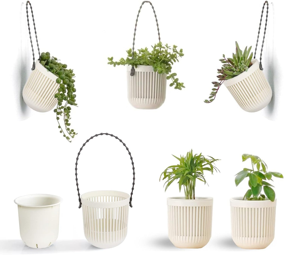 Succulent Tools and Plastic Succulent Pots