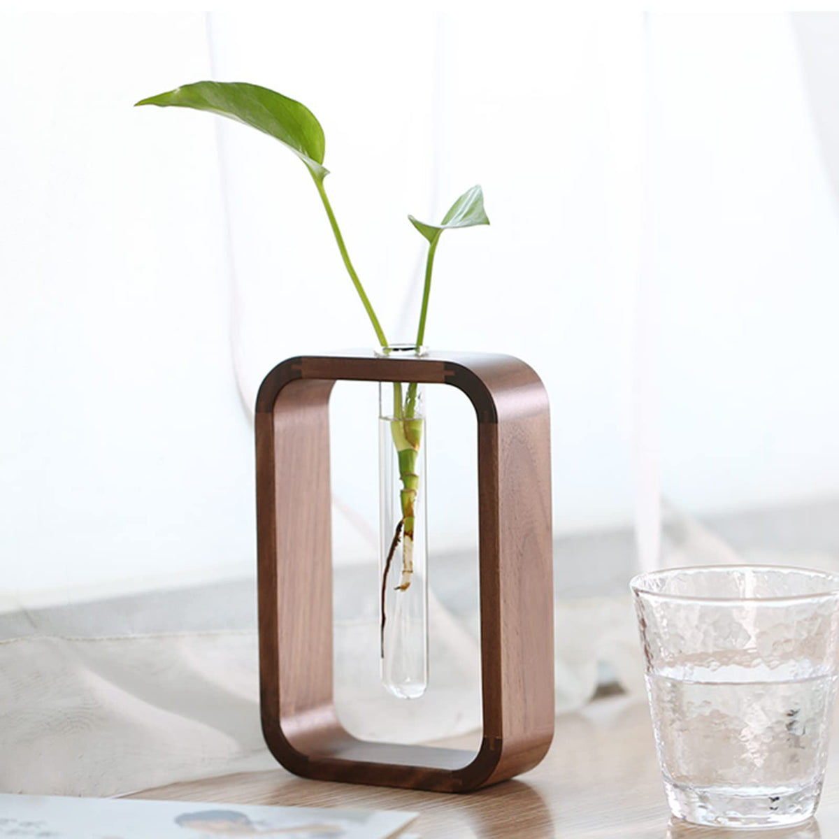 TREELF Transprent Glass Vase Test Tube Vase Hydrophilic Plants Vase Plant Holder Walnut Wooden Frame Flower Stand Table Garden Bonsai Decor,Gifts for Women, Home Office Decor Planter (Small)