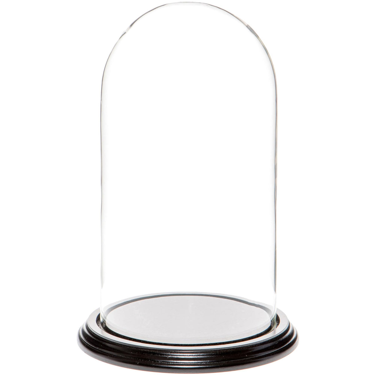 Plymor 5.5" x 10" Glass Display Dome Cloche (Black Wood Veneer Base)