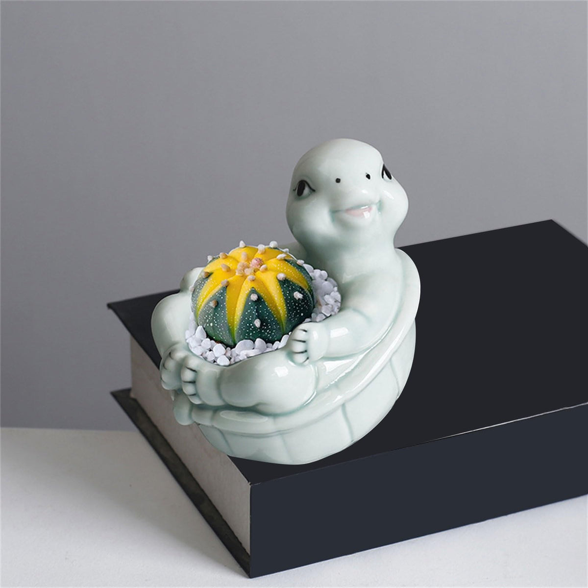 jiingekk Succulents Plant Pots Turtles Planter Flower Pots Planting Pots For Cactus Succulents Planter For Indoor Plant Indoor Plant Holder