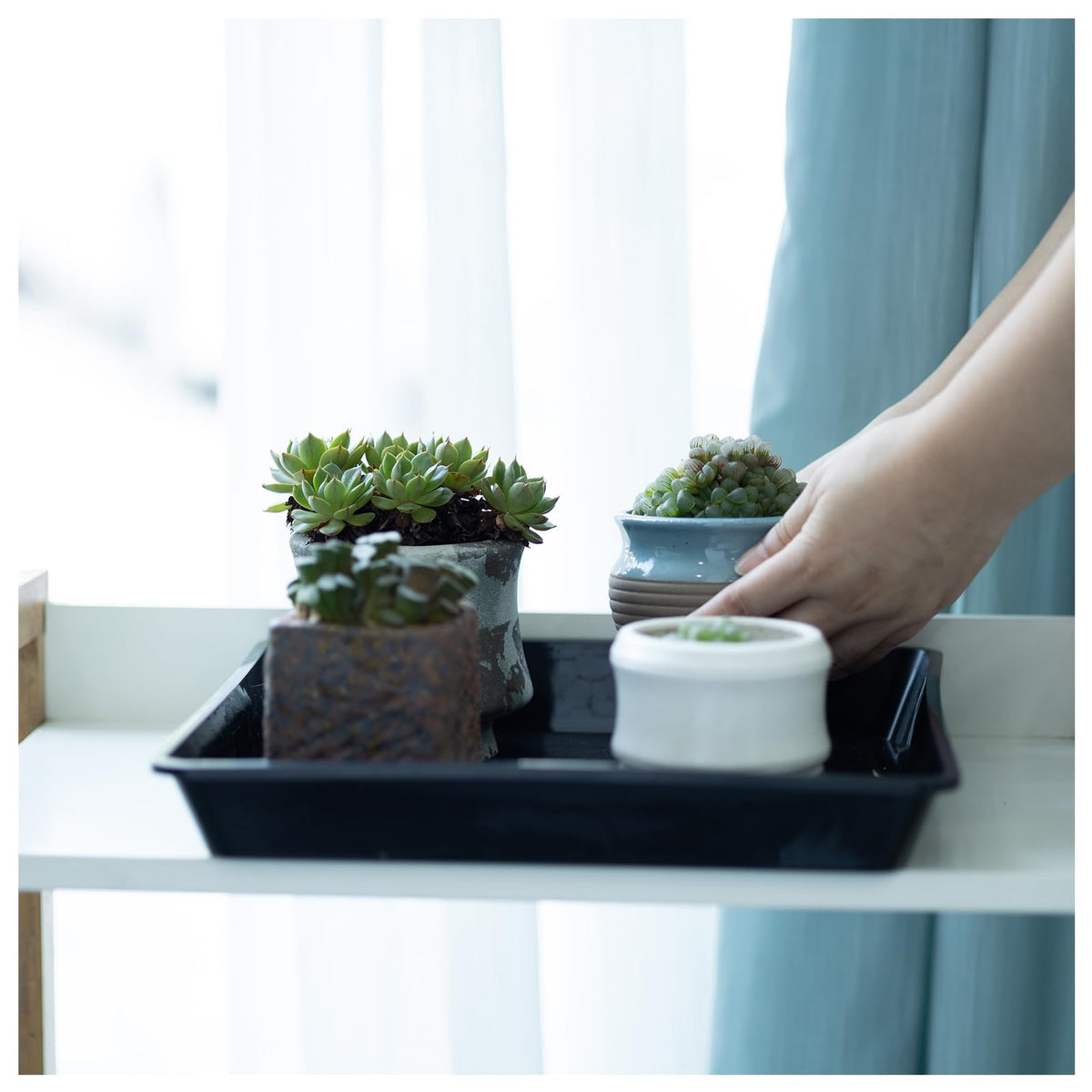 JAKOUE Square Plant Saucer 12 inch,5 Pack Pant Pot Trays, Plant Saucers for Indoors and Outdoors, Seed Starting Tray, Growing Trays,Black