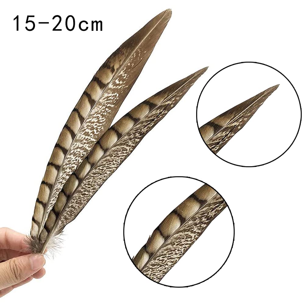 Flying Feathers Natural Pheasant Feathers 4 Style 15-20cm 12pcs Natural Feathers for DIY Craft Home Party Decorations FF03…