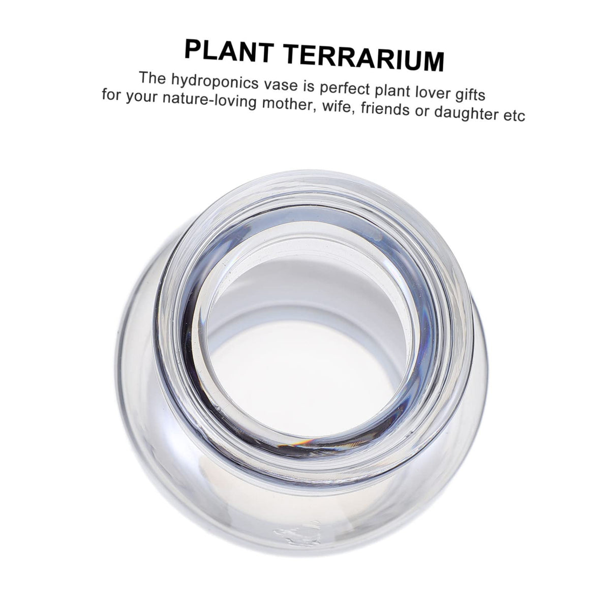 ABOOFAN Glass Vase for Hydroponics Plants Small Mouth Desktop Planter Terrarium for Home Decoration Smooth Transparent Floral Arrangement Container Gift Ready Decorative Propagation