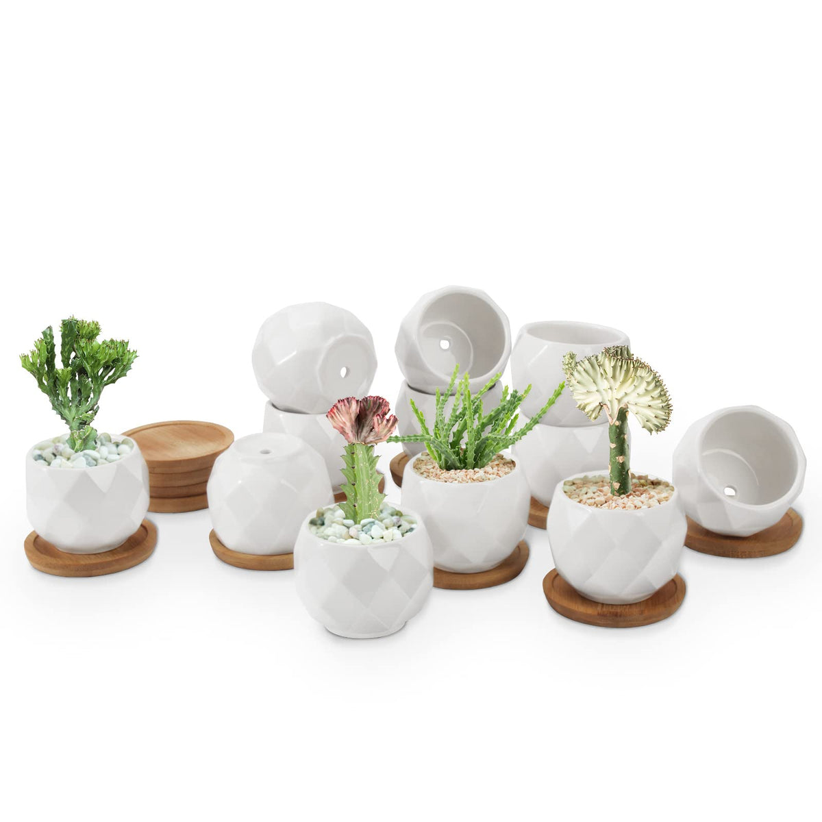 ZOUTOG Succulent Pots, White Mini 3.15 inch Ceramic Flower Planter Pot with Bamboo Tray, 2.5 inch Square Pattern Ceramic Planters, Plants Not Included