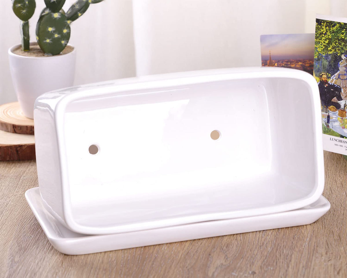 VanEnjoy 10 Inch White Rectangle Ceramic Succulent Planter Pot Decorative Cactus Plant Pot Flower Container with Ceramic Tray