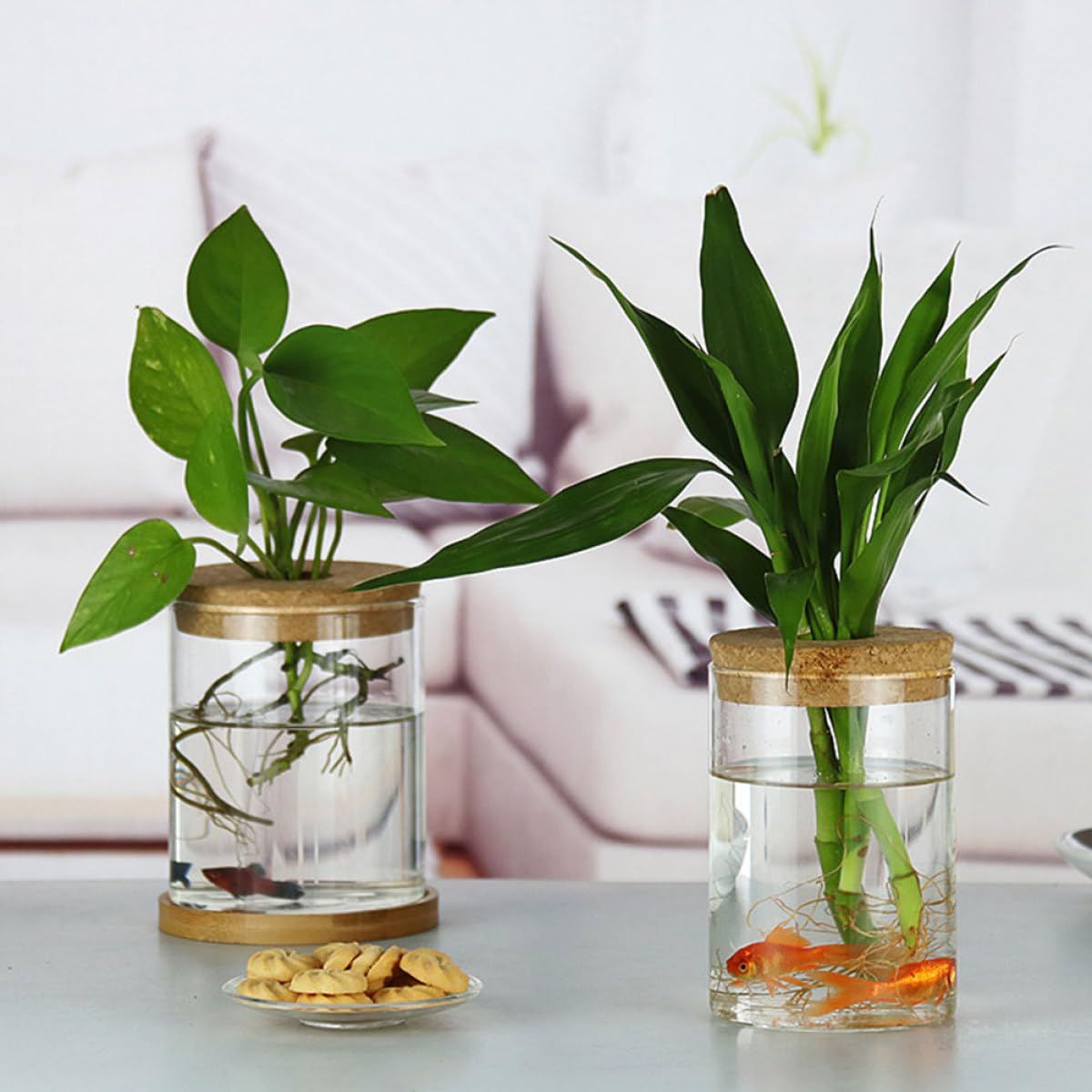 SOLUSTRE 2pcs Glass Flower Vases Hydroponic Plant Pots with Perforated Cork Stoppers 6.5cm X 10cm Indoor Home Decor Moss Terrarium Bottles for Succulent Arrangement