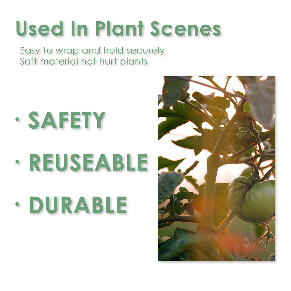 plantactic Garden Tie Green Tape, Plant Supports, Gentle On Plants (65.6ft × 0.6 inch, 1 roll, Green)